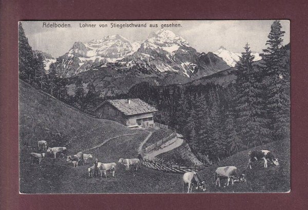 ADELBODEN - Lohner von Stiegelschwand - Kühe - 1910