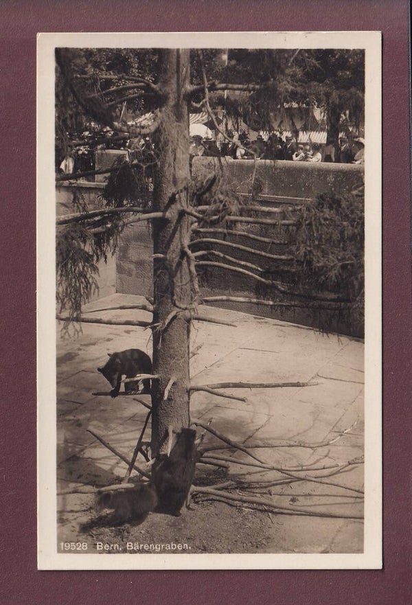 BERN - Bärengraben - 1931