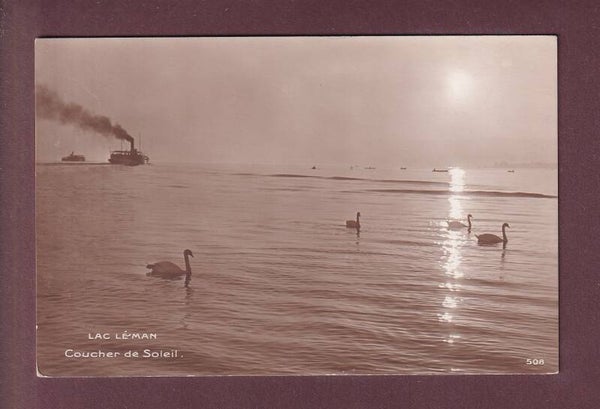 LAC LEMAN - Coucher de Soleil - Cygnes