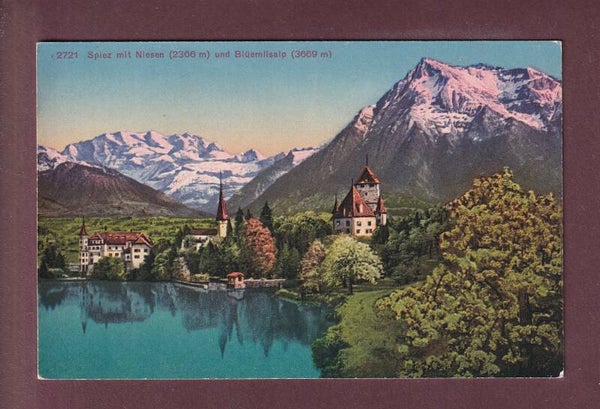 SPIEZ und Niesen - Blümlisalp
