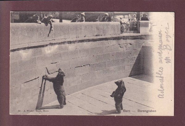 BERN - Bärengraben - 1902