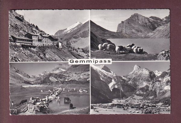 GEMMIPASS - 4 Bilder - 1966