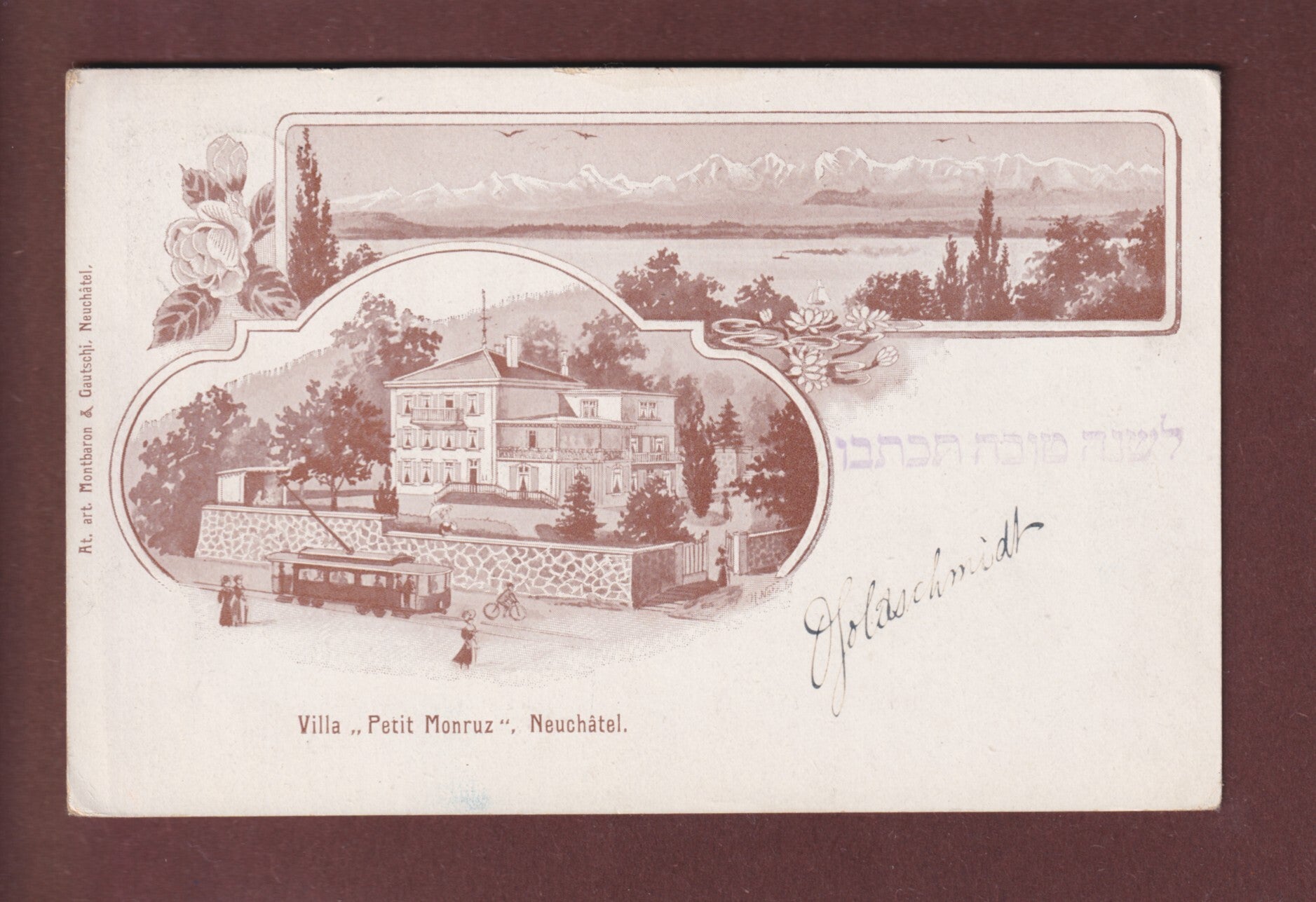 NEUCHÂTEL - Villa Petit Monruz - 1909