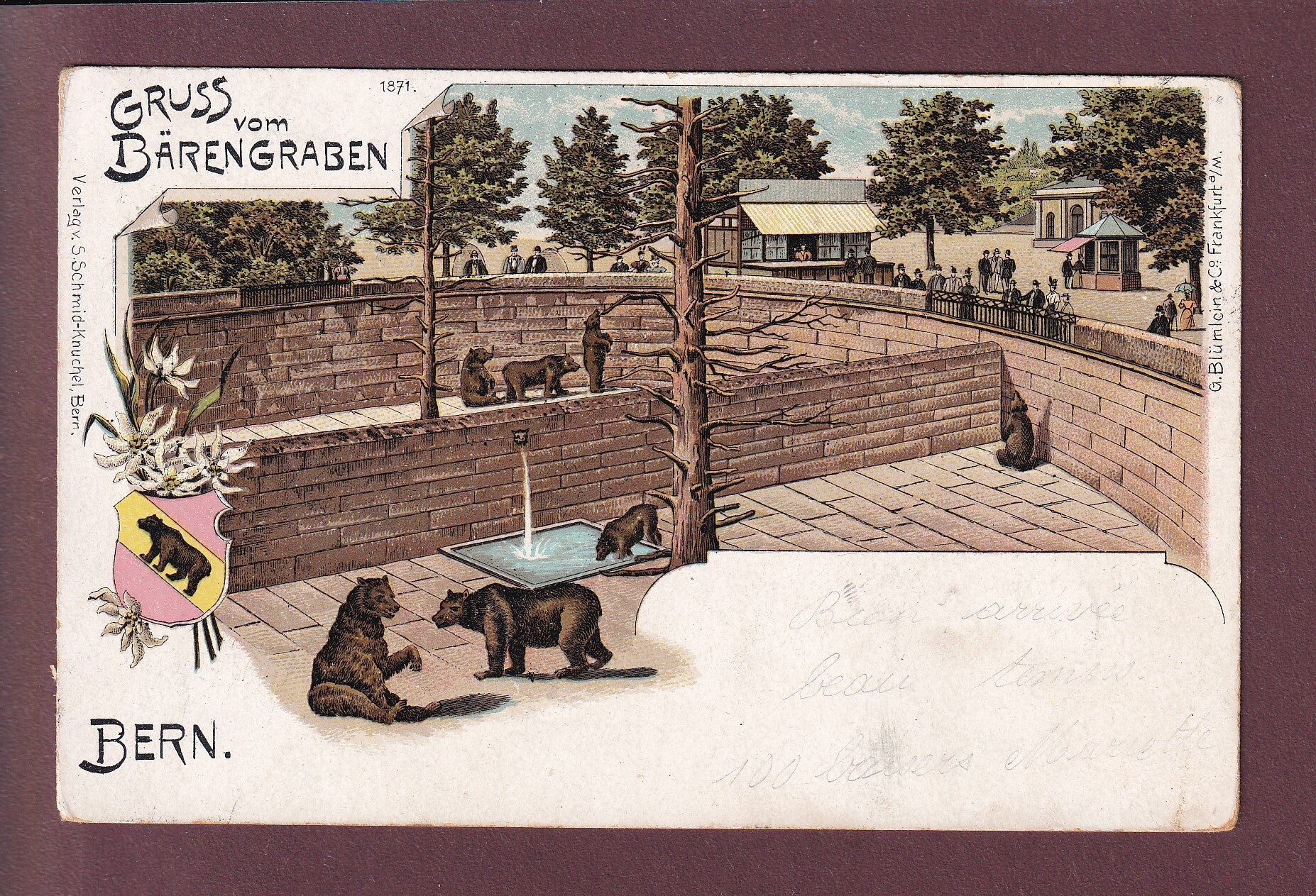 BERN - Gruss vom Bärengraben - Litho - 1903
