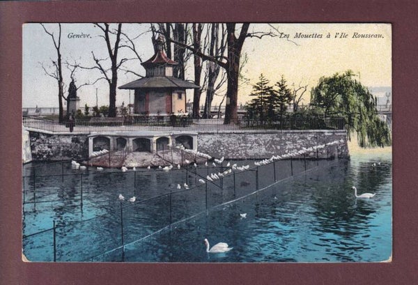 GENEVE - Île Rousseau - Mouettes - 1909 // petit pli d'angle //