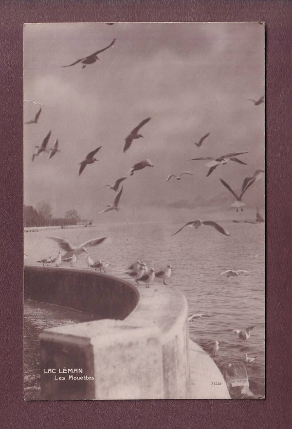 LAC LEMAN - Les mouettes - 1935