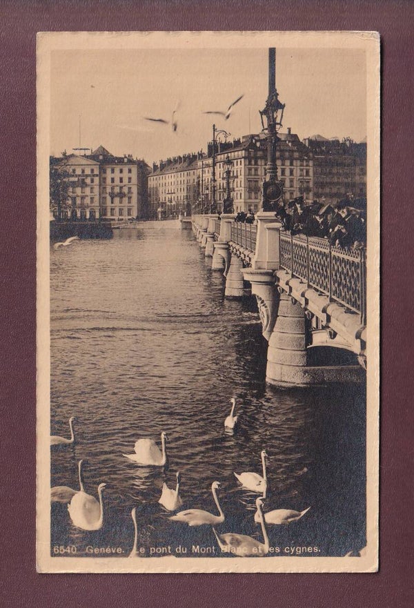 GENEVE - Pont du Mont-Blanc - Cygnes - 1912