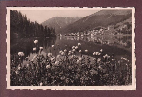 Davos - DAVOSERSEE - Trollblumen - 1935