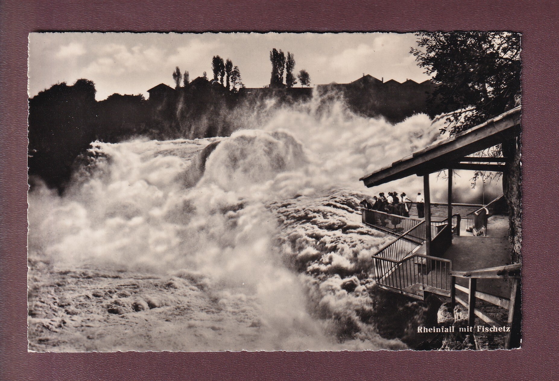 RHEINFALL mit Fischetz