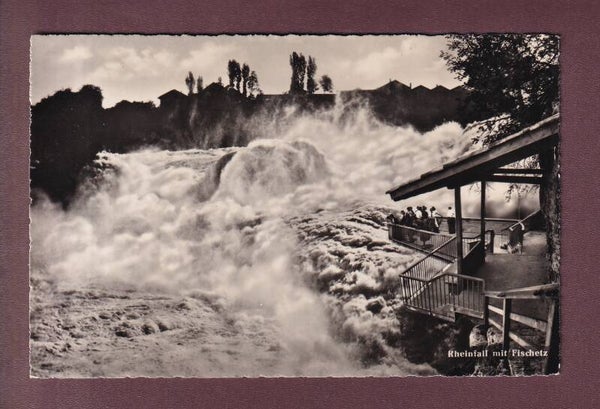 RHEINFALL mit Fischetz
