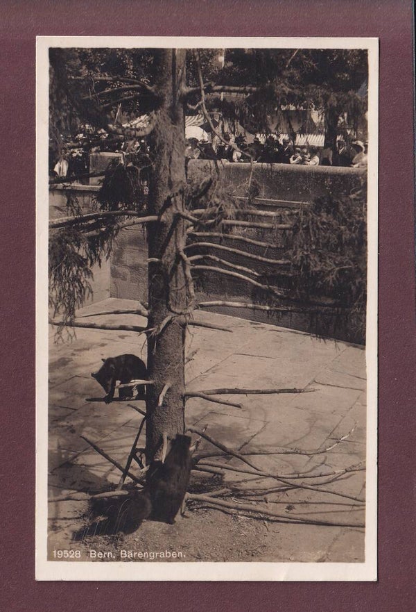 BERN - Bärengraben - 1926
