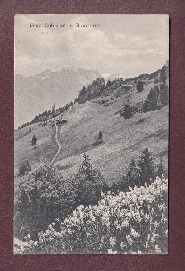 MONT CUBLY - Narcisses - Grammont