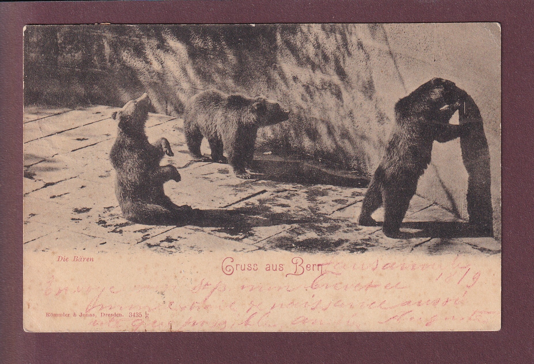 Gruss aus BERN - Die Bären - 1900 UPU