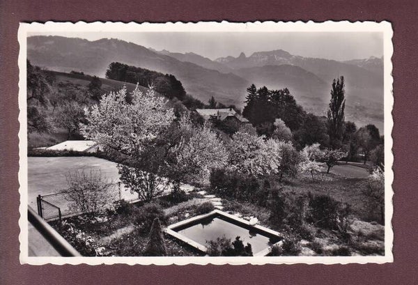 JONGNY - Etoile du Matin