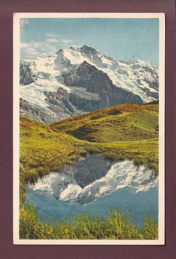 KLEINE SCHEIDEGG - Jungfrau