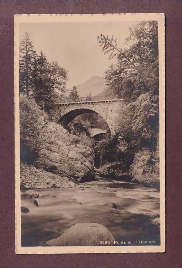 Ponts sur l'HONGRIN