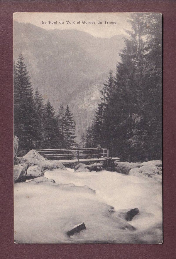 PONT DU VOIX et Gorges du Trège