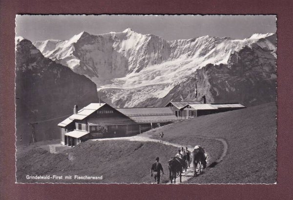 GRINDELWALD-FIRST - Fiescherwand - 1964