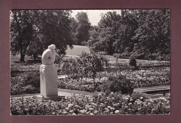 GENEVE - Parc de la Grange - Roseraie - 1954