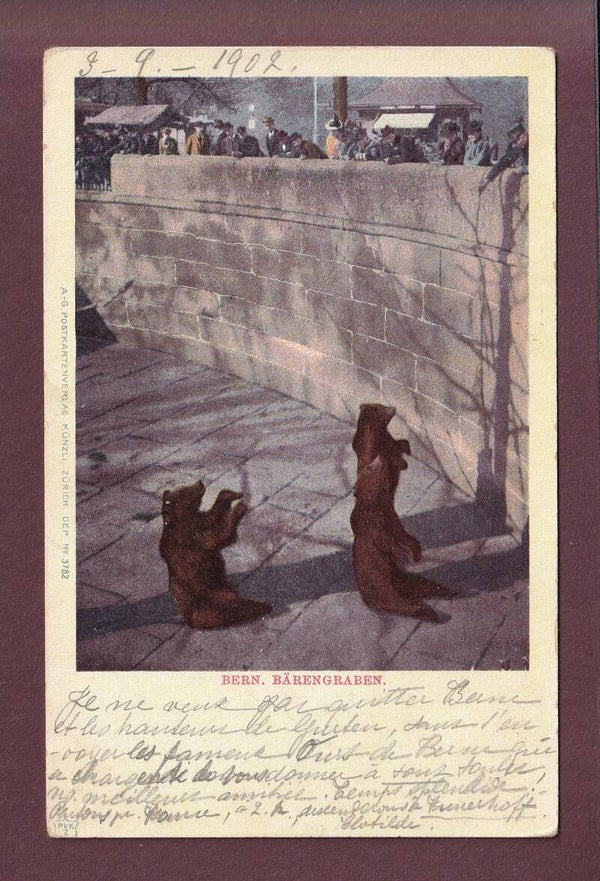 BERN - Bärengraben - 1902