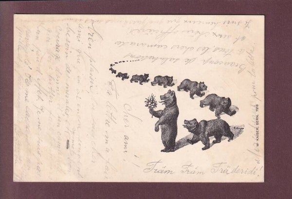 Bern - BÄREN - 1901 Feldpost