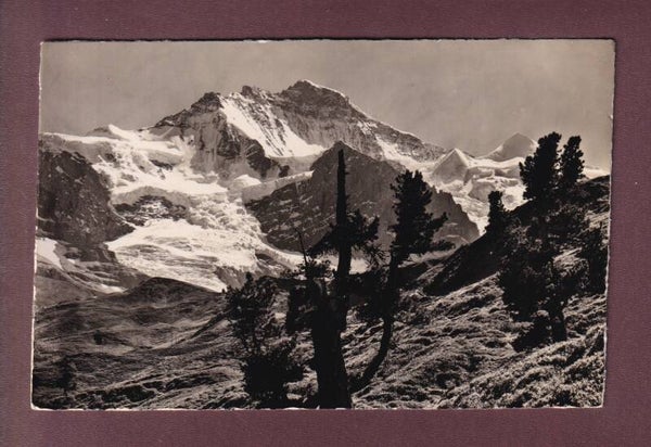 KLEINE SCHEIDEGG - Jungfrau
