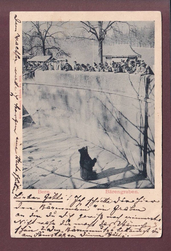 BERN - Bärengraben - 1900 // Eckbug //