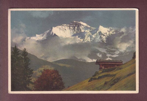 JUNGFRAU im Abendlicht