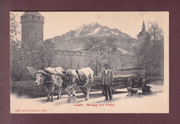 LUZERN - Musegg - Ochsengespann