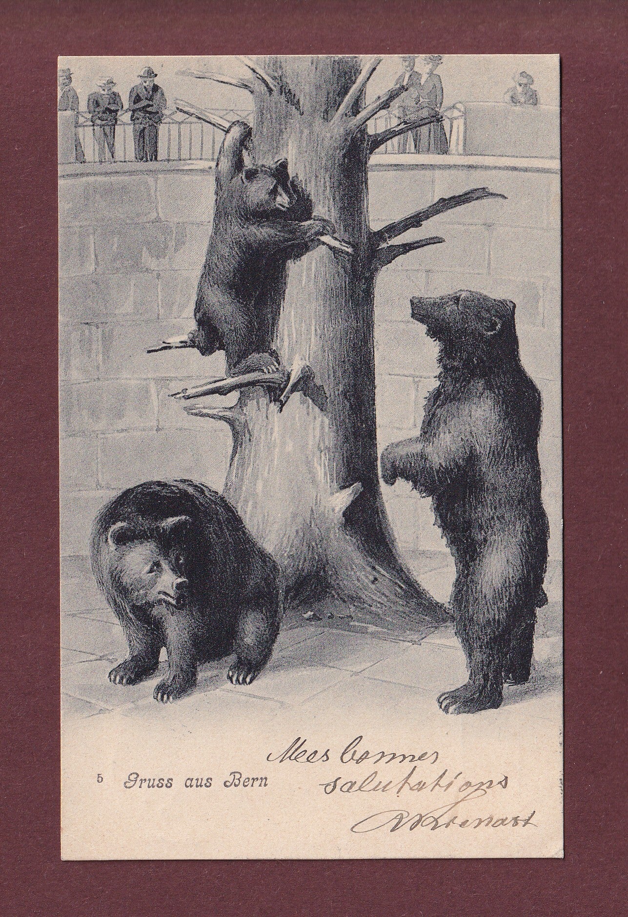 BERN - Bärengraben - 1906 // kleiner Eckbug //