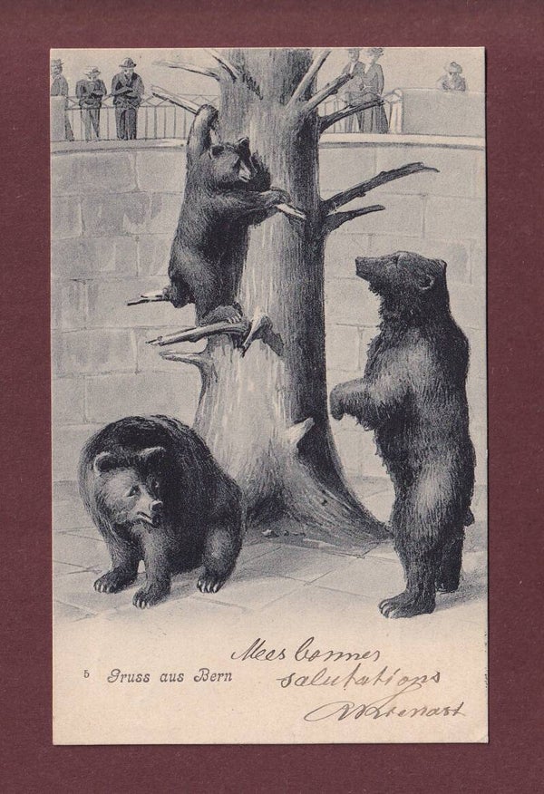 BERN - Bärengraben - 1906 // kleiner Eckbug //