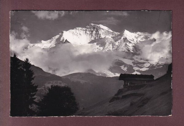 JUNGFRAU im Abendlicht