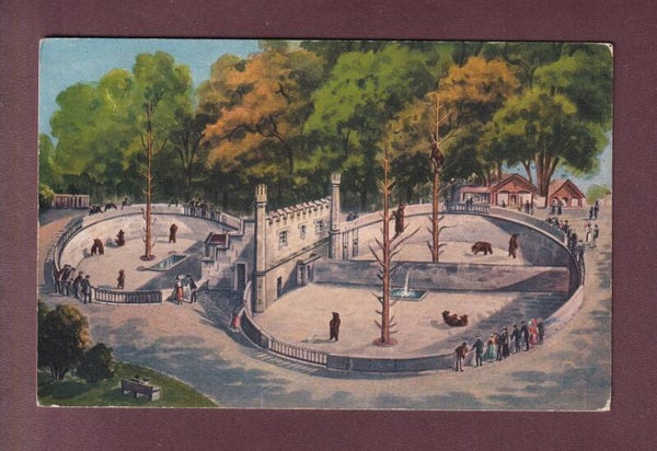 BERN - Bärengraben