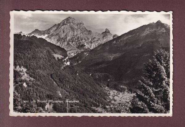 FRENIERES - Grand MUVERAN - 1956