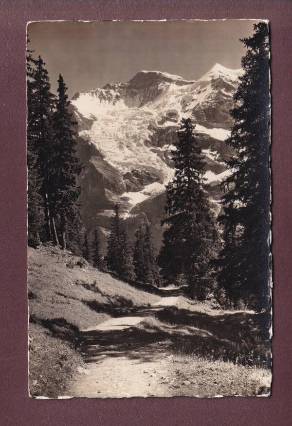 WENGEN - Weg nach Mettlenalp - Jungfrau - 1937