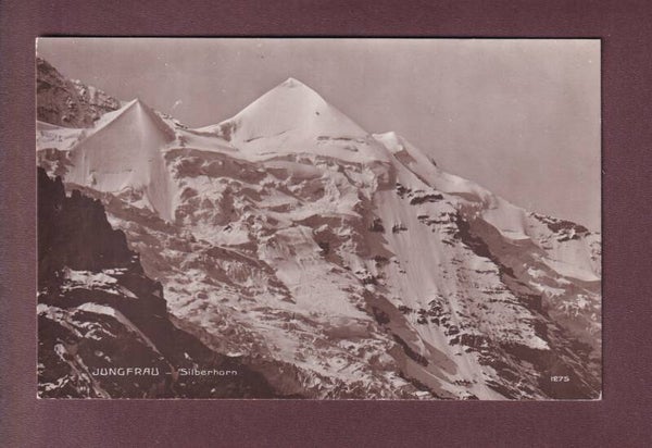 Jungfrau - SILBERHORN