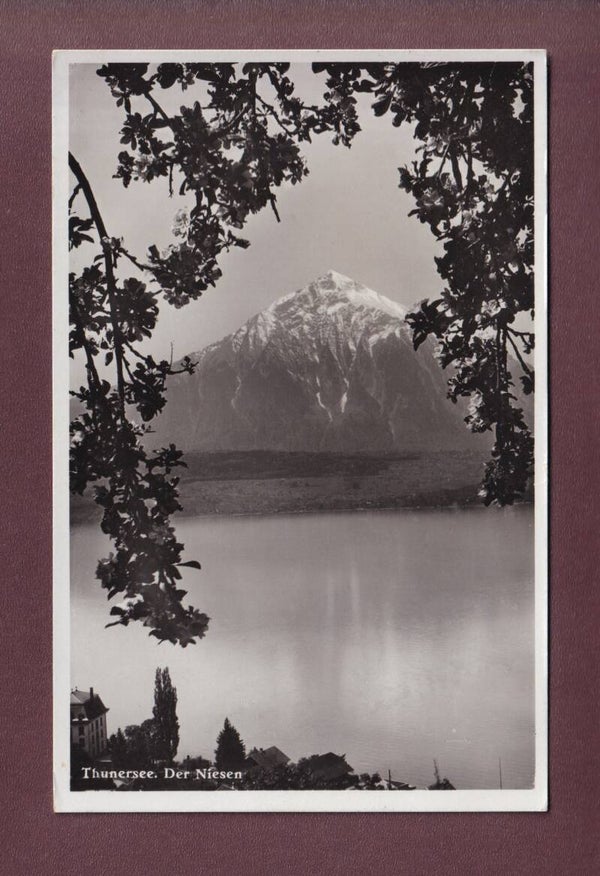 Thunersee - NIESEN