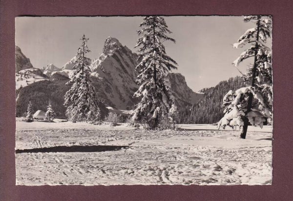 SAANENMÖSER - Winterlandschaft - Rüblihorn