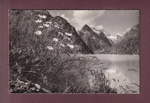 Am GRIMSEL-SEE - Finsteraarhorngruppe - 1957