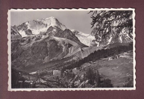 AROLLA - Le Pigne