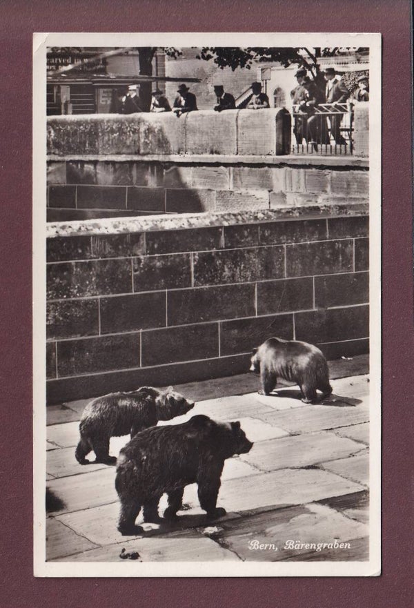 BERN - Bärengraben - 1933
