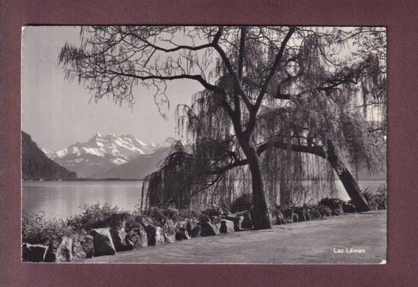 LAC LEMAN - Dents du Midi - 1964 flamme costumes suisses