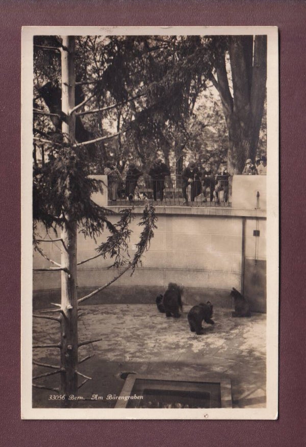 BERN - Bärengraben
