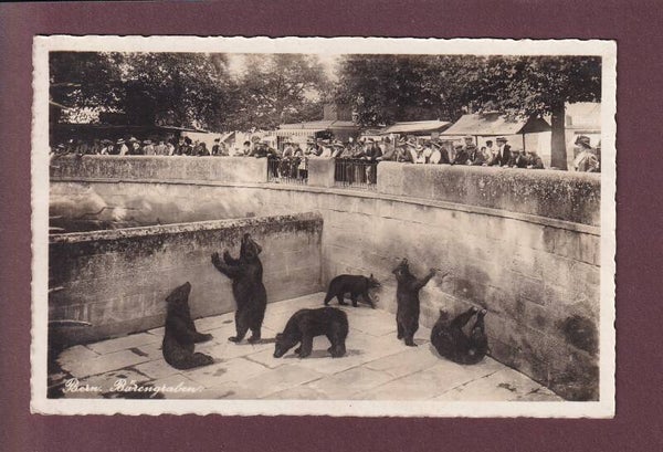 BERN - Bärengraben - 1931