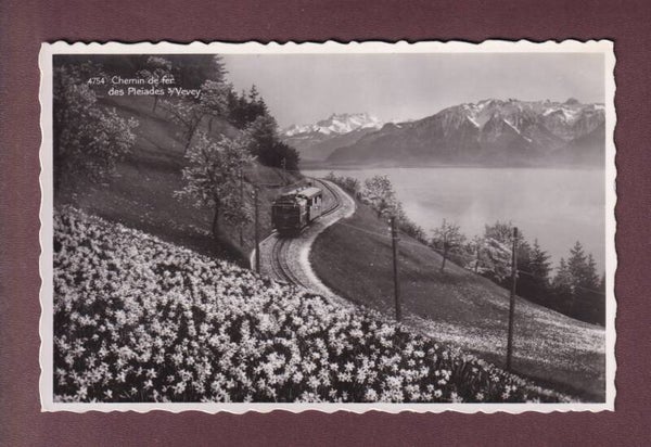 Chemin de fer de PLEIADES - Narcisses - 1941