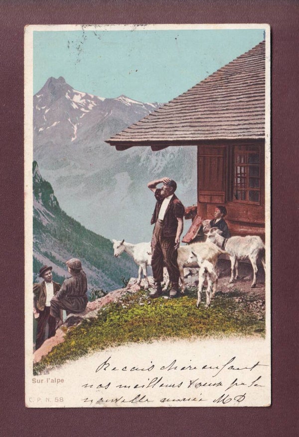 Sur l'ALPE - Chèvres - 1904 CPN