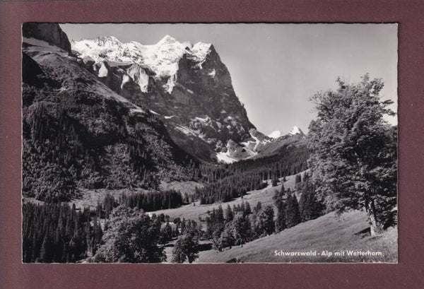 SCHWARZWALD-ALP - Wetterhorn