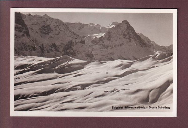 Skigebiet SCHWARZWALD-ALP - Grosse Scheidegg