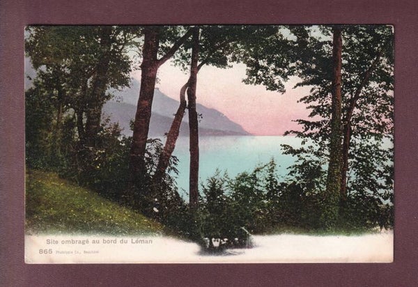 Site ombragé au bord du LAC LEMAN