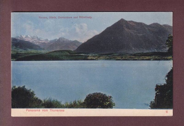 Panorama vom THUNERSEE - Niesen